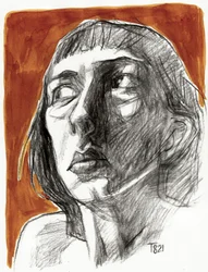 Dramatisch schaduwportret