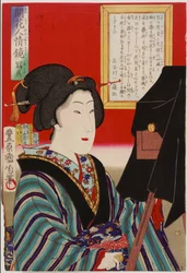 Spiegel van de Menselijke Natuur: de Fotografie, Meiji-periode