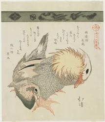 Mandarijneend en woerd, ca. 1830