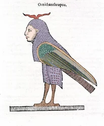 Ornithantropos. Vogel met menselijk hoofd. Ulisse Aldrovandi “De monstrorum Historia” Bologna 1642