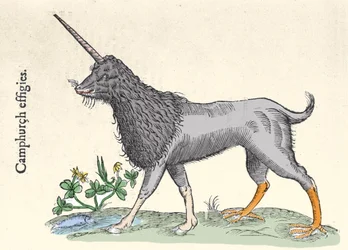 Representatie van een camphurch, monster van de Molukken Eilanden. Gravure door Ulisse Aldrovandi, Monstrorum Historiae, Bologna 1642