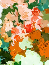 Kleurrijke bloemen in de tuin