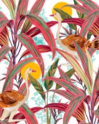 Levendige jungle-struisvogels