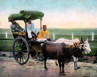 Een Bombay rekla, India, begin 20e eeuw