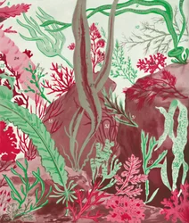 Een verzameling van meer dan vijftig soorten rode, groene en bruine zeewieren