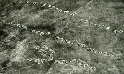 Een Infanterieaanval Over Niemandsland, 1919
