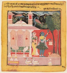 Een dame die bloemen plukt met pauwen, Gunakali Ragini van Malkos, uit de Chawand Ragamala, 1605