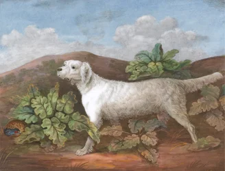 Een Setter: Naar Links, met een Patrijs die zich Verbergt tussen Klisplanten aan de Linkerkant, ca. 1805