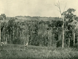Een Victoriaanse bergboerderij, 1901