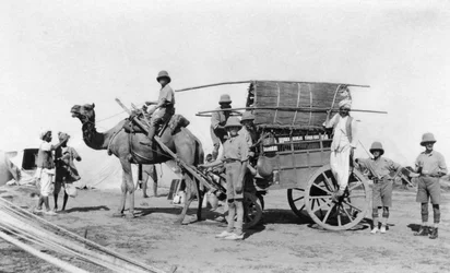Een kameelkar, India, 1916-1917