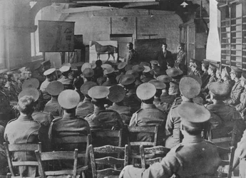 Een lezing over de anatomie van het paard, 1915