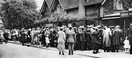 Een rij voor de dierentuin op een nationale feestdag, Londen, 1926-1927