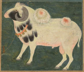 Een koninklijke ram met een gouden ketting