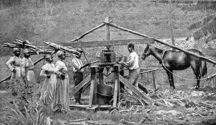 Een houten, door paarden aangedreven suikerrietmolen, West-Indië, 1922