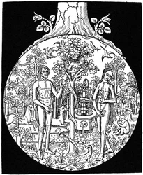 Adam en Eva, 1505, 1964