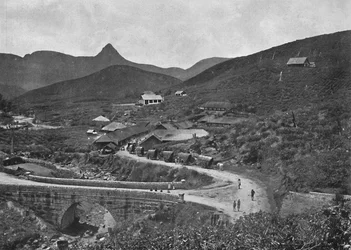 Adamspik en Brownlow-theeplantage, 1926