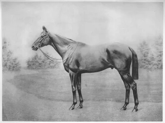 Admiraal Togo III, 1911