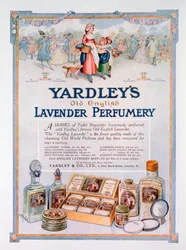 Advertentie voor Yardleys Old English Lavender parfumerie, 1923