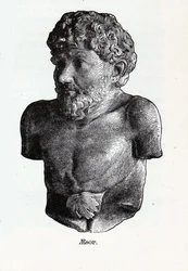 Aesopus, 1882
