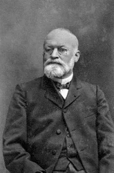 Alphonse Laveran, Franse arts, 1917