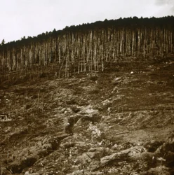 Elzas