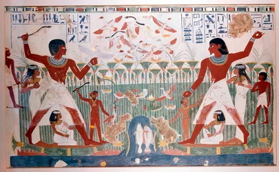 Oude Egyptenaren jagen op watervogels met werpstokken
