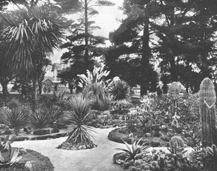 Arizona Garden, Monterey, Californië, VS, ca. 1900