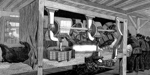 Varkensslachthuis van Armour Company, Chicago, Illinois, VS, 1892