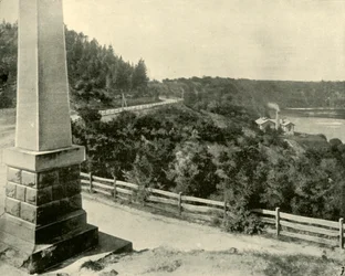 Bij Mount Gambier
