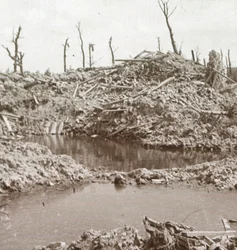 Oevers van de rivier de IJzer, Diksmuide, België