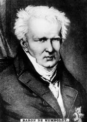 Baron de Humboldt