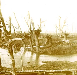 Slagveld, c1914-c1918