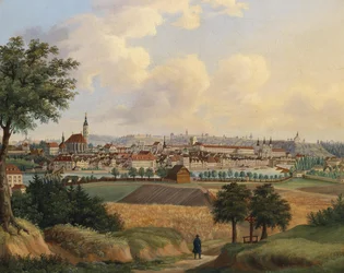 Uitzicht op Steyr