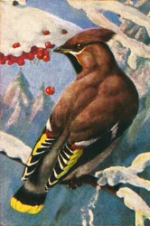 Pestvogel, ca. 1928