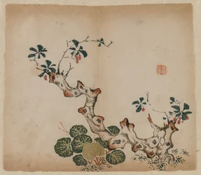 Vertakte stomp, 1368-1644