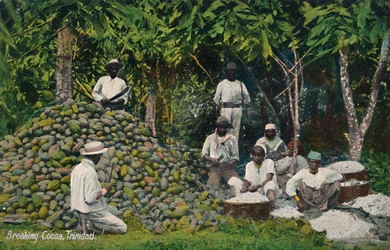 Cacao breken, Trinidad
