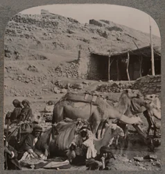 Kameelkaravaan uit Jerash, drinkend bij de Fontein van Elisa, ca. 1900