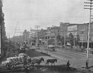 Canal Street, New Orleans, Louisiana, VS, ca. 1900