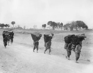 Houtskooldragers op de weg naar Peking, China, eind 19e of begin 20e eeuw