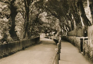 Chine Avenue, Shanklin, I.W., c1920