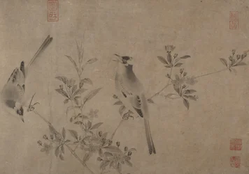 Chinese bulbuls op bloeiende kersappel