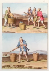 Chinese landbouw
