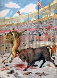 Gevecht tussen een leeuw en een stier, Spanje, 1894