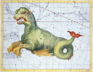 Sterrenbeeld Walvis, 1729