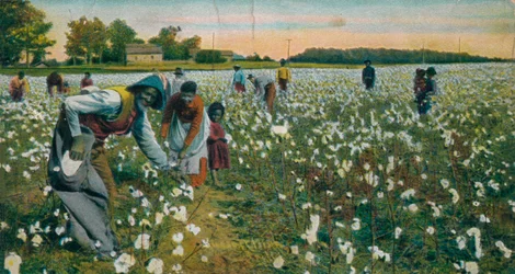 Katoen plukken, Augusta, Georgia, ca. 1900