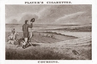 Coursing-1, 1924