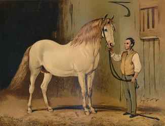 Crème staatskoetspaard. Van de stoeterij van Hare Majesteit, ca. 1879