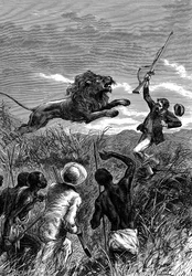 David Livingstone, Schotse missionaris en Afrikaanse ontdekkingsreiziger, aangevallen door een leeuw, ca. 1860