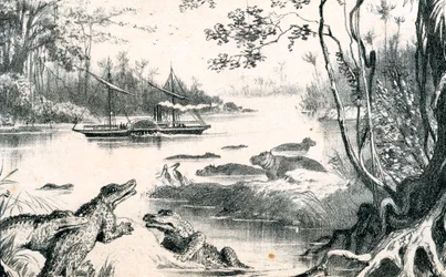 David Livingstone navigeert de Zambezi, Afrika, 1852-1864 c1878