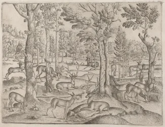Herten in het bos, ca. 1520